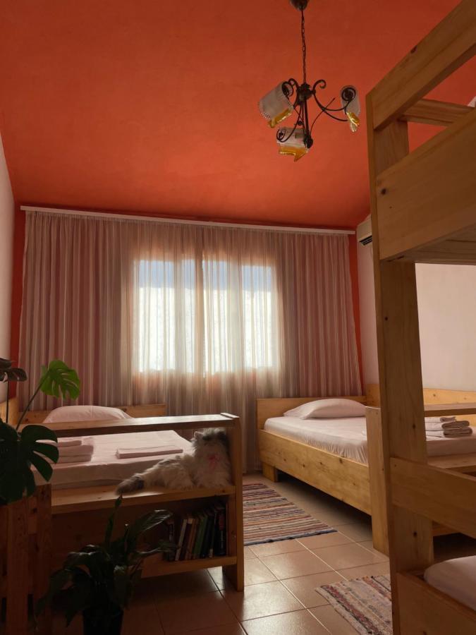 טיראנה Cozy Big Apartment With Balcony מראה חיצוני תמונה